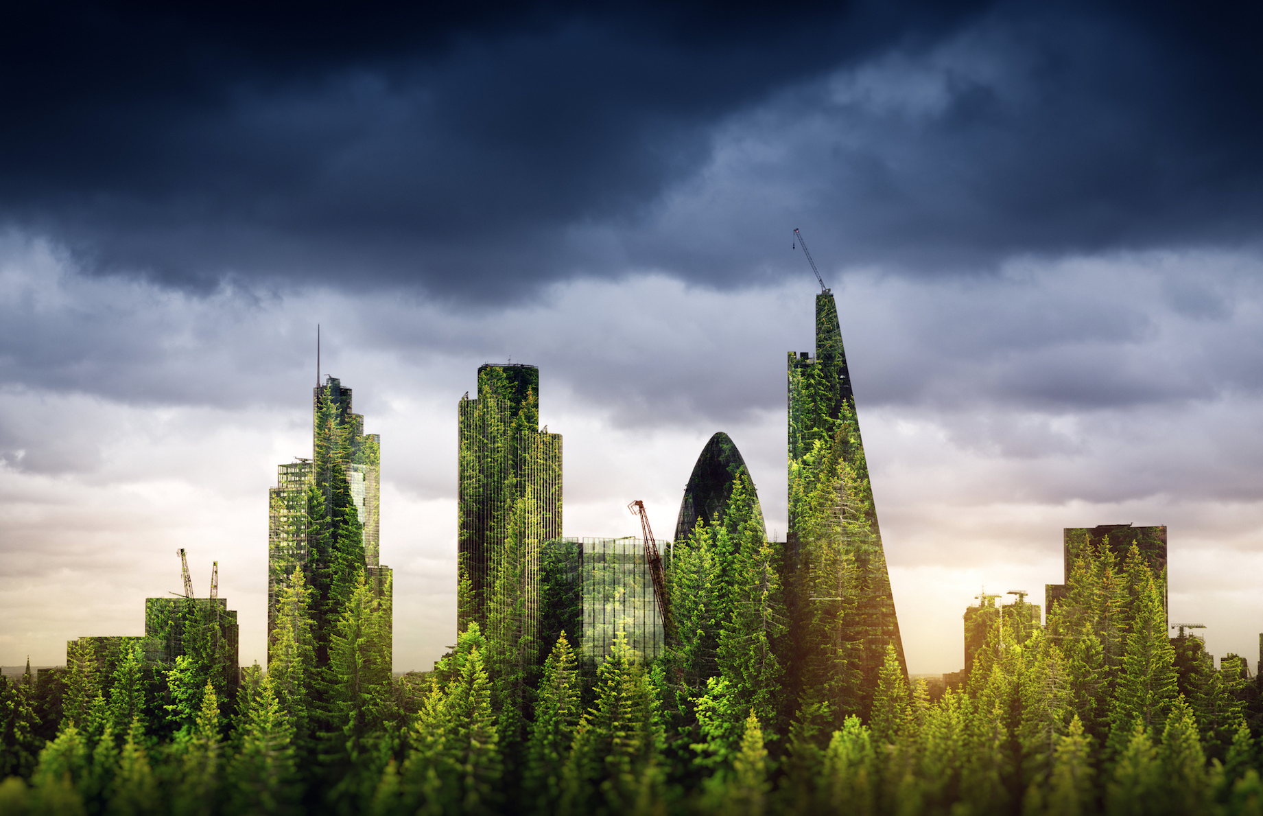 City Of London Hosts International Green Finance Summit