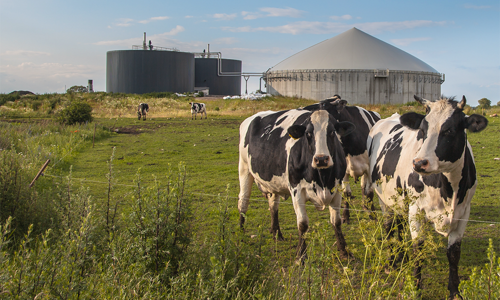 Letter to Chancellor highlights climate potential of anaerobic digestion