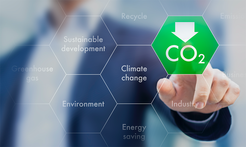 Treasury launches Net Zero Review LaptrinhX / News