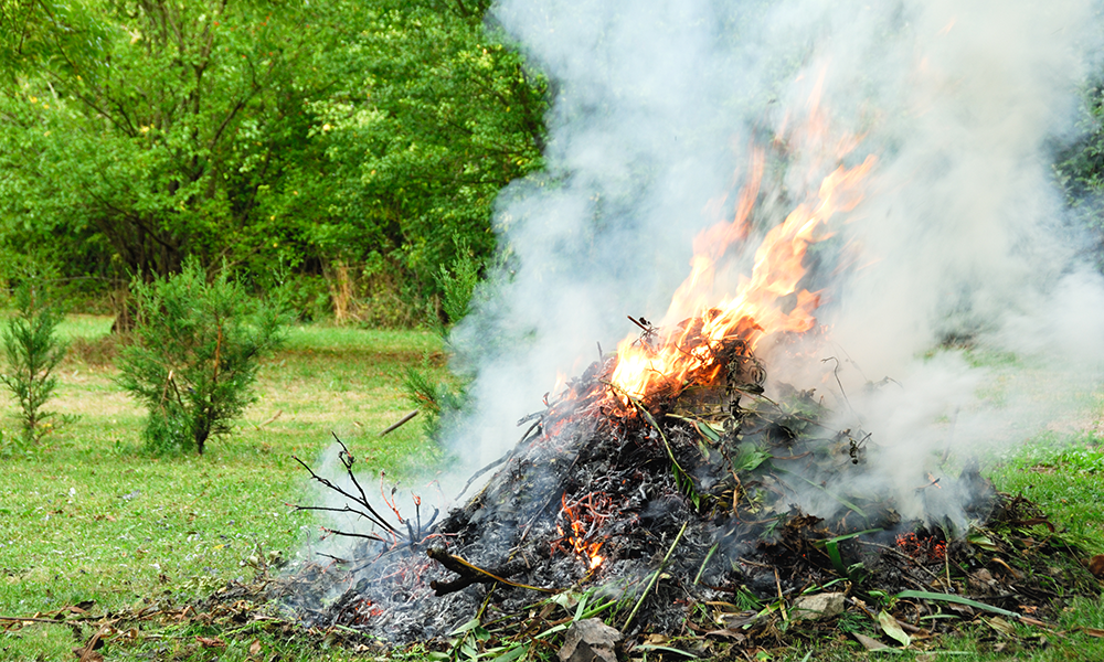 Is It Illegal To Burn Household Rubbish Uk at Adriana Golden blog