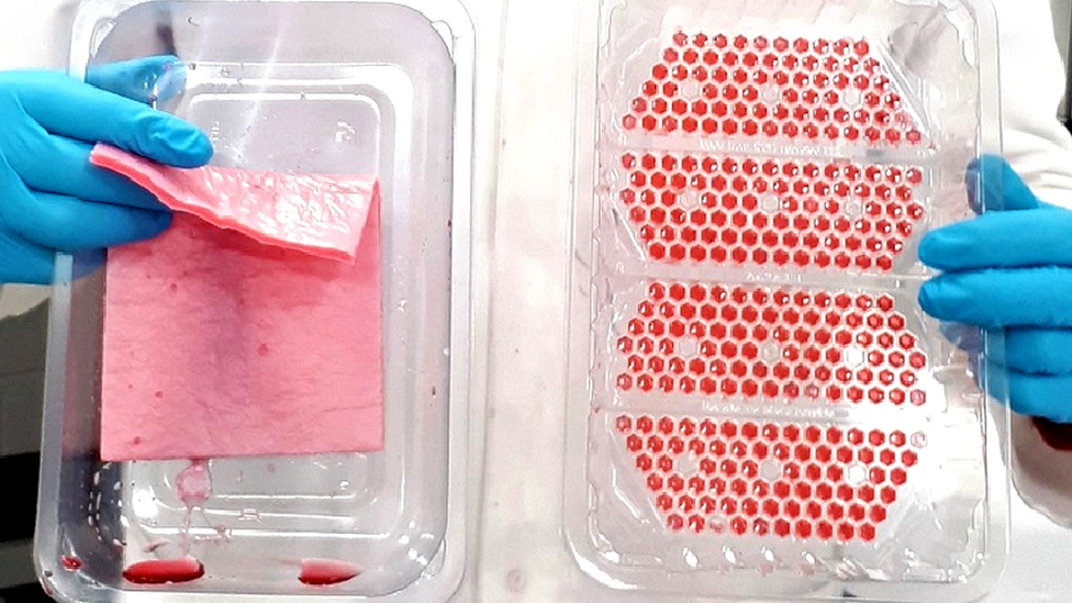 100 recyclable meat tray could cut food packaging waste
