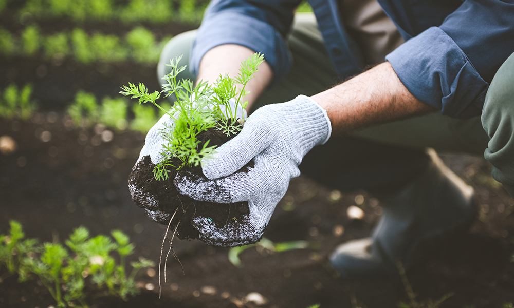 Treasure Gardening editorial image representing circular social enterprise for Britain Direct readers.
