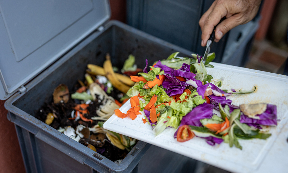 EU could cut bio-waste by introducing EPR for food products, report shows